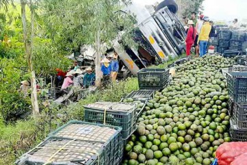 Người dân thu gom trái cây giúp tài xế khi xe tải bị lật ở quốc lộ
