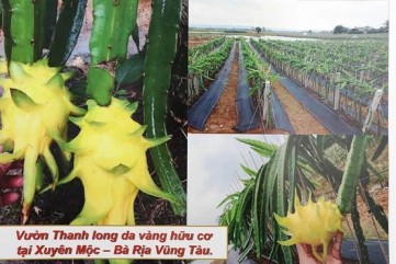 Quảng Ngãi: Công ty Anh Khải Ký đầu tư gần 80 tỷ đồng làm khu sản xuất nông nghiệp
