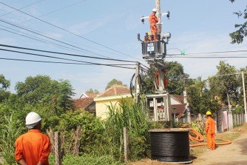 Chỉ đạo liên quan đến việc bàn giao lưới điện hạ áp nông thôn cho ngành điện