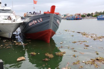 Quảng Ngãi: Rác thải ngập tràn cảng Sa Kỳ