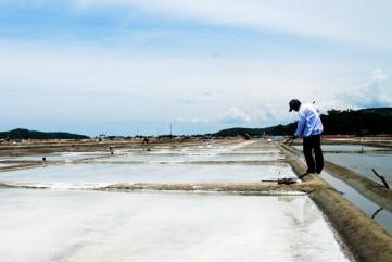 Diêm dân Sa Huỳnh lo lắng nghề làm muối truyền thống bị mai một