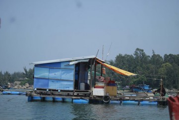 Quảng Ngãi yêu cầu chấm dứt nuôi cá lồng bè tự phát ở khu vực biển và sông Trà Bồng